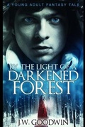 Cover: By The Light of a Darkened Forest - Blurb