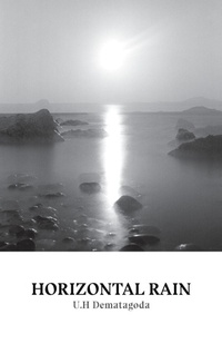 Enlarge image Cover: Horizontal Rain - Hyperidean Press