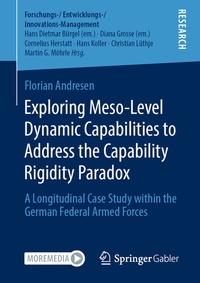 Abbildung von: Exploring Meso-Level Dynamic Capabilities to Address the Capability Rigidity Paradox - Springer Gabler