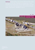 Cover: Funde und Ausgrabungen im Bezirk Trier 48/2016 - Reichert Verlag