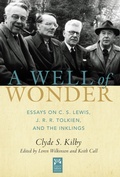 Cover: A Well of Wonder - Paraclete Press
