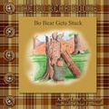 Cover: Bo Bear Gets Stuck - 978-163625073-1