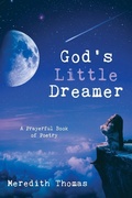 Cover: God's Little Dreamer - Wipf & Stock Publishers
