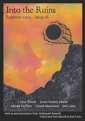 Cover: Into the Ruins - Figuration Press