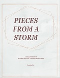 Cover: Pieces of a Storm - Cynthia Lee