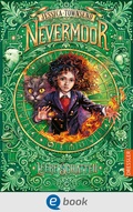 Cover: Nevermoor 3. Leere Schatten - Dressler