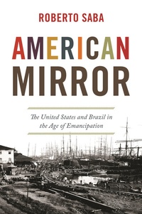 Abbildung von: American Mirror - Princeton University Press