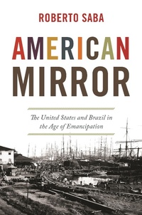 Abbildung von: American Mirror - Princeton University Press