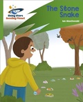 Cover: Reading Planet: Rocket Phonics - Target Practice - The Stone Snake - Green - Rising Stars
