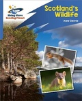Cover: Reading Planet: Rocket Phonics - Target Practice - Scotland's Wildlife - Blue - Rising Stars UK Ltd