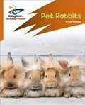 Cover: Reading Planet: Rocket Phonics - Target Practice - Pet Rabbits - Orange - Rising Stars