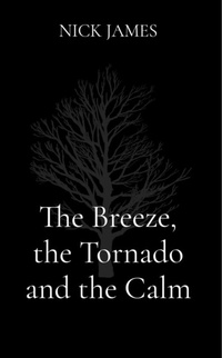 Abbildung von: The Breeze, the Tornado and the Calm - What me? a stroke. . .nah!