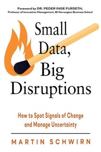Enlarge image Cover: Small Data, Big Disruptions - New Page Books,US