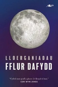 Cover: Lloerganiadau - Y Lolfa