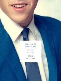 Abbildung von: Digging to Wonderland - Turtle Point Press