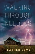 Cover: Walking Through Needles - Polis Books