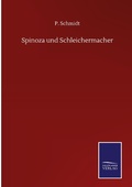 Cover: Spinoza und Schleichermacher - Outlook