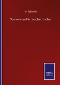 Cover: Spinoza und Schleichermacher - Outlook