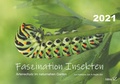 Cover: Faszination Insekten - Zerr, Sibylle