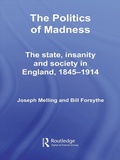 Cover: The Politics of Madness - Routledge