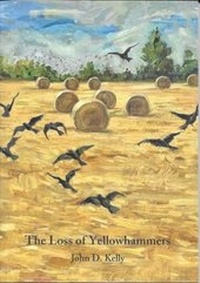 Enlarge image Cover: The Loss of Yellowhammers - Summer Palace Press