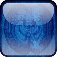 Enlarge image Cover: Brain Architecture - Oxford University Press, USA