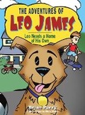 Cover: The Adventures of Leo James - Austin Macauley Publishers LLC
