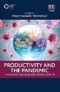 Cover: Productivity and the Pandemic - Edward Elgar Publishing