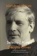 Cover: Islands of Voices - Shearsman Books