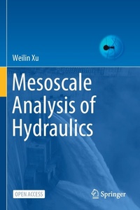 Enlarge image Cover: Mesoscale Analysis of Hydraulics - Springer