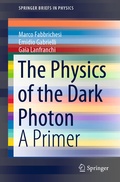 Bild: The Physics of the Dark Photon - Springer