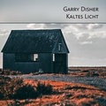 Cover: Kaltes Licht - Hierax Medien