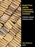 Cover: Small Firms and the Environment in Developing Countries - Routledge