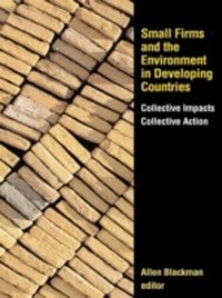 Enlarge image Cover: Small Firms and the Environment in Developing Countries - Routledge
