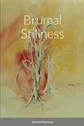 Cover: Brumal Stillness - Michael Martinez