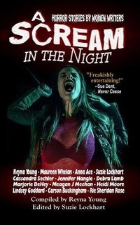 Enlarge image Cover: A Scream in the Night - BLACK BED SHEETS BOOKS