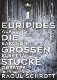 Abbildung von: Die großen Stücke - dtv