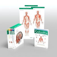 Abbildung von: Sobotta Atlas of Anatomy, Package, 17th ed., English/Latin - Elsevier