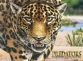 Cover: Predators - Amber Books