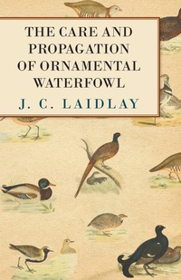 Abbildung von: The Care and Propagation of Ornamental Waterfowl - Read Books Ltd.
