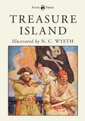 Cover: Treasure Island - Illustrated by N. C. Wyeth - Read Books Ltd.