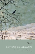 Cover: Still - Seren