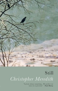 Enlarge image Cover: Still - Seren