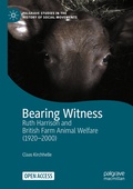 Cover: Bearing Witness - Palgrave Macmillan