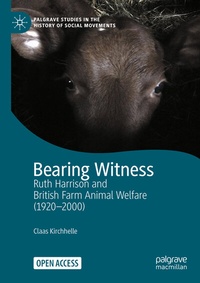 Enlarge image Cover: Bearing Witness - Palgrave Macmillan