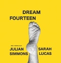 Cover: Dream Fourteen - paul stolper