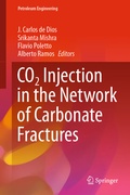 Cover: CO2 Injection in the Network of Carbonate Fractures - Springer