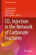 Cover: CO2 Injection in the Network of Carbonate Fractures - Springer