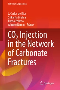 Enlarge image Cover: CO2 Injection in the Network of Carbonate Fractures - Springer