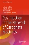 Cover: CO2 Injection in the Network of Carbonate Fractures - Springer